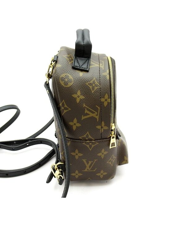 Louis Vuitton Palm Springs Backpack Mini Monogram